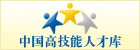 中国高技能人才网